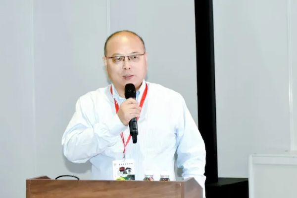 1729668650982977.png 07上海嘉定新城发展有限公司副主任史洪伟.png